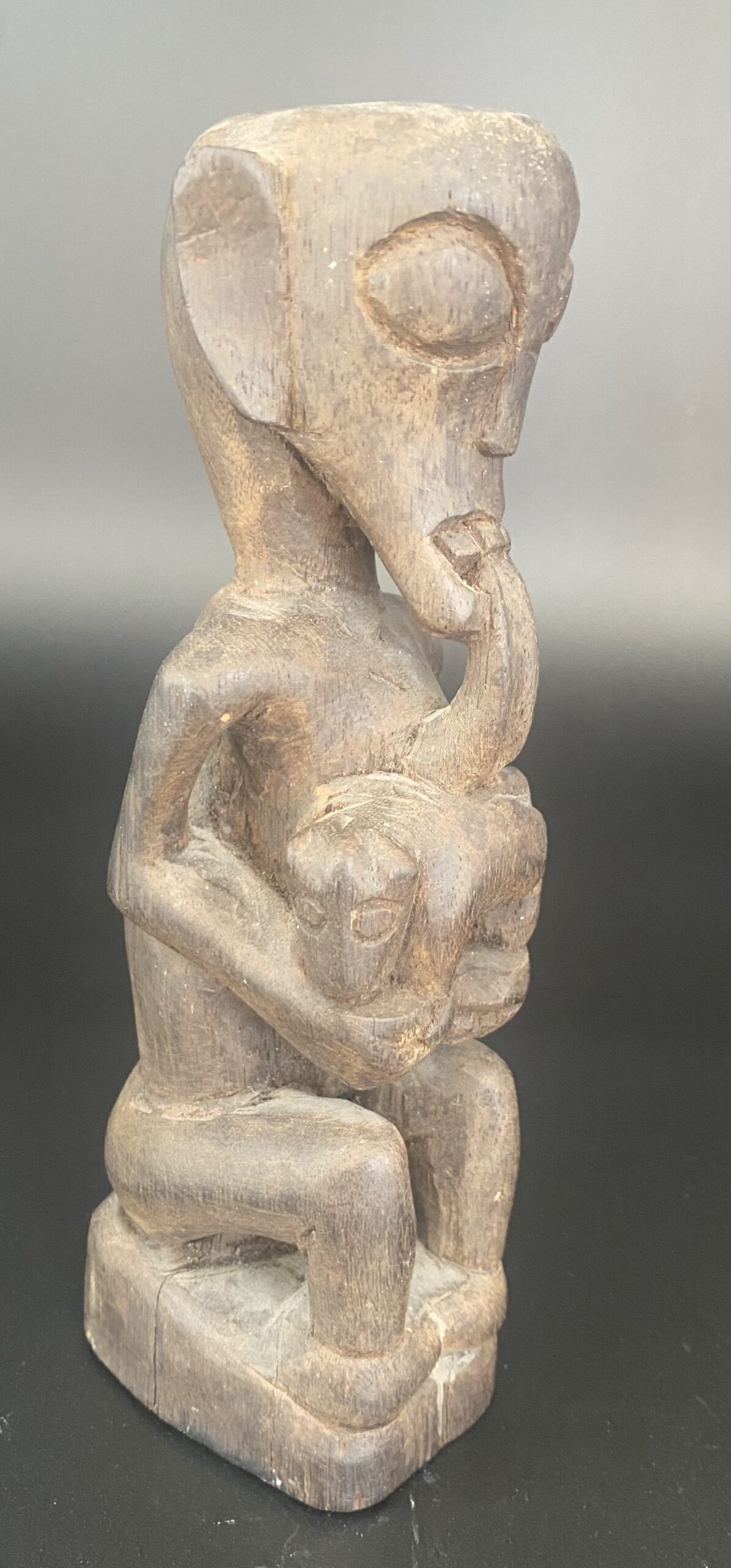 Timor Figure Licking Dog