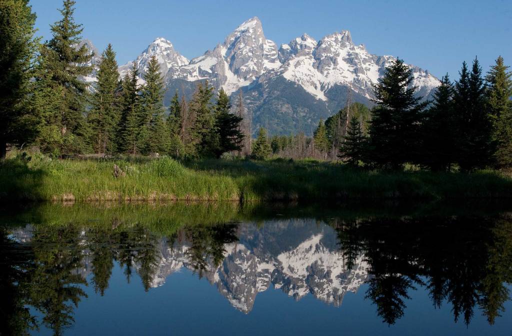 Jackson Hole Road Trip 1965